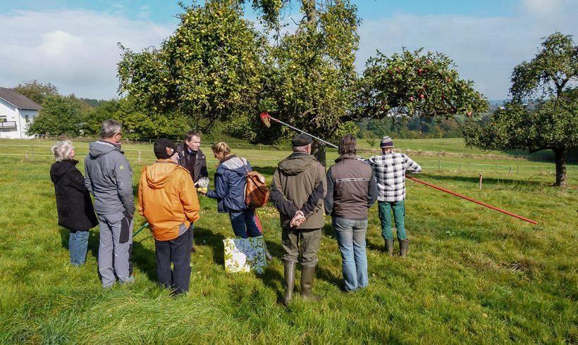 Viele alte Obstsorten im Asbacher Land Viele alte Obstsorten im Asbacher Land