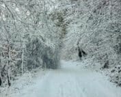 Winter im Asbacher Land Robert Klein (Foto: Robert Klein)