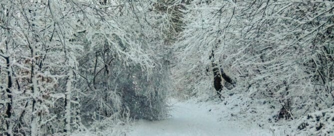 Winter im Asbacher Land Robert Klein (Foto: Robert Klein)